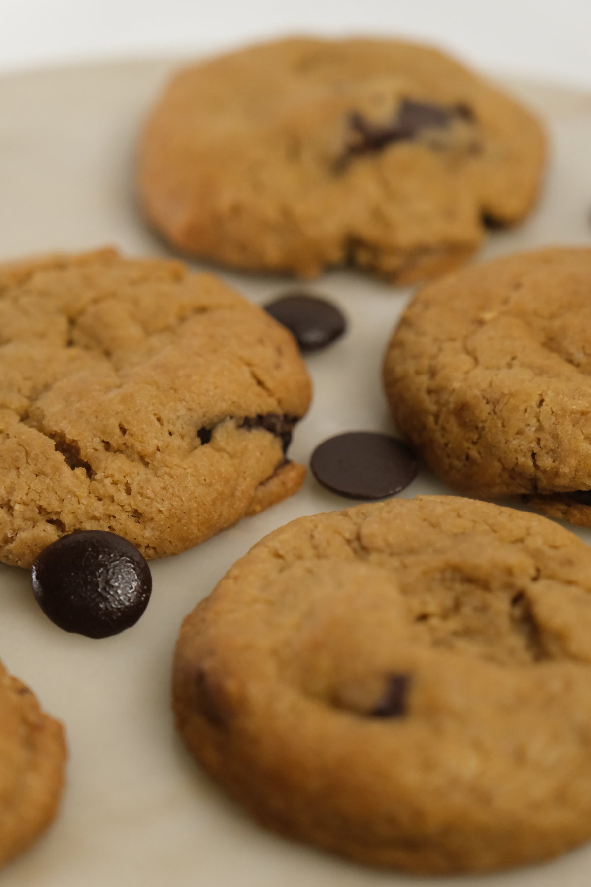 Chocolate Chunky Cookies